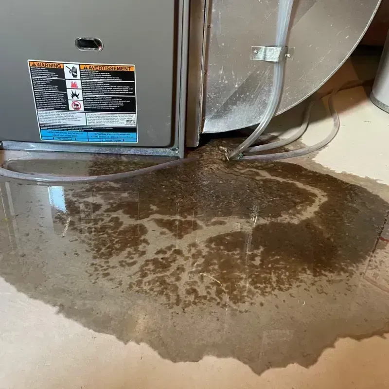 Appliance Leak Cleanup in Rockland, ME